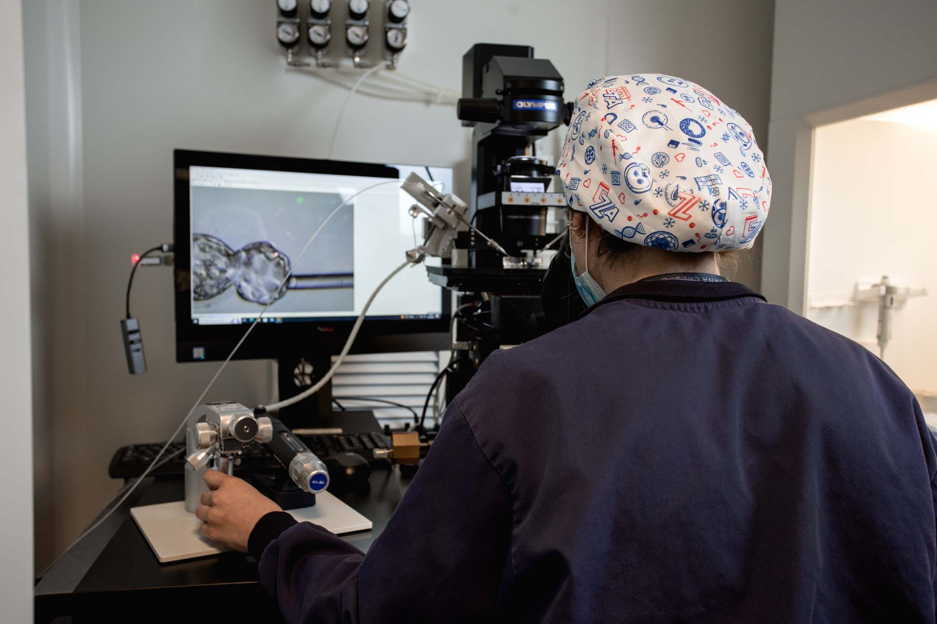 Laboratorio FIV Equipo Juana Crespo008_Biopsia